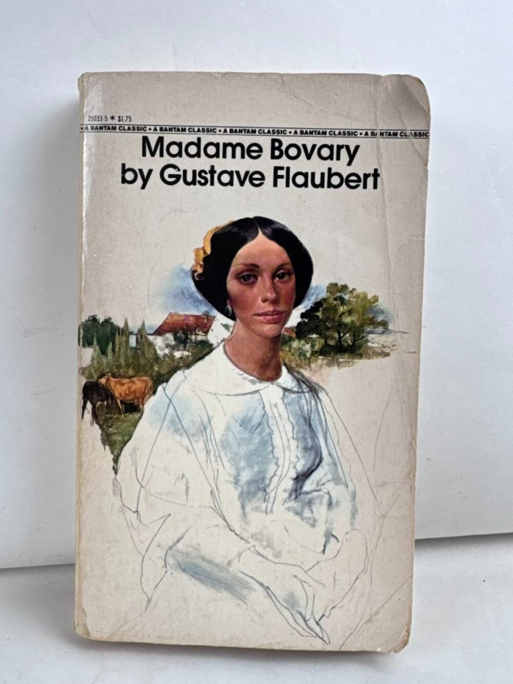 Madame Bovary Gustave Flaubert Vintage Bantam Classic Paperback Novel 1980s